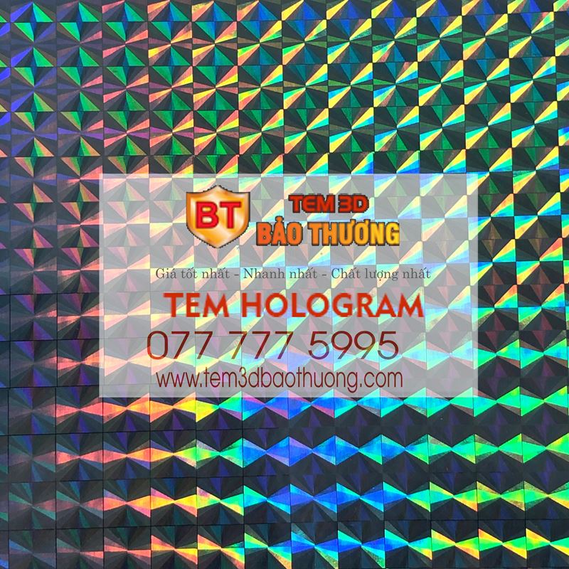 Tem Hologram